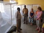 Some of the students in a ward showing the mosquito nets supplied by Ross Rotary